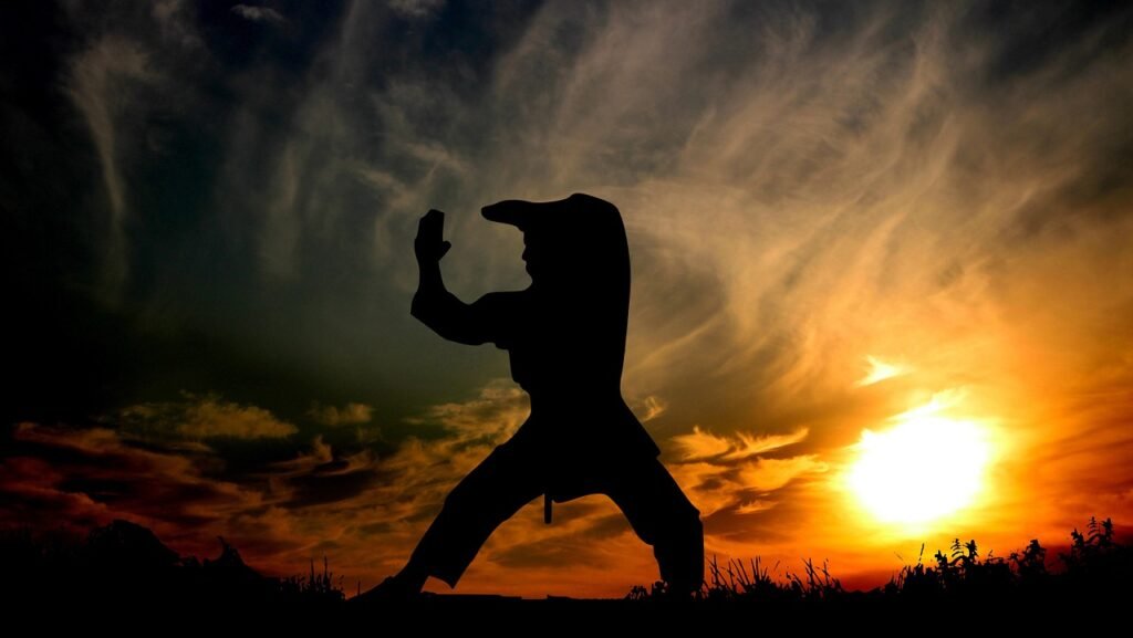 sunset, sport, fight, karate, coaching, competition, silhouette, people, the activity, young, hobbies, athletic, nature, karate, karate, karate, karate, karate