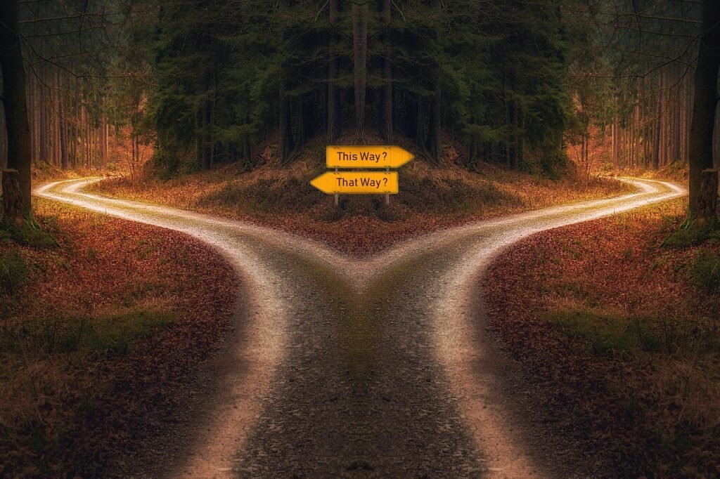new year, decision, path, signpost, crossing, chance, choice, direction, selection, challenge, solution, alternative, future, strategy, decide, opportunity